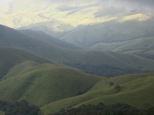 Click for Bigger Image