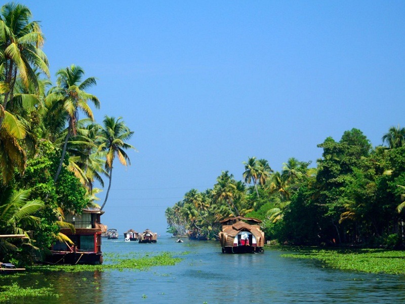 6 Things To Know About Kerala Backwaters Trawell Blog 