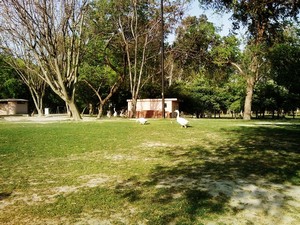 Dr Ram Manohar Lohia Park