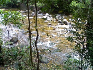 Golden Valley, Near Ponmudi