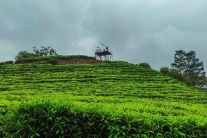 Attamala Viewpoint