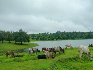 Jai Sagar Dam