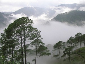 tourist places near visakhapatnam railway station