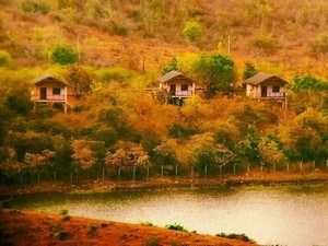 Blackbuck Resort