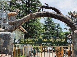 Shimla Water Catchment Wildlife Sanctuary