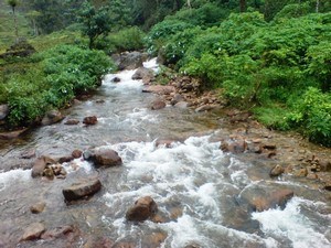 Birla / Birala Waterfalls