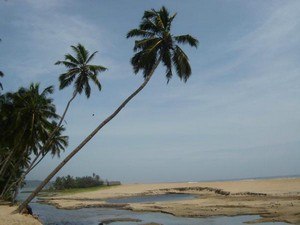 tourist places in trivandrum for one day trip