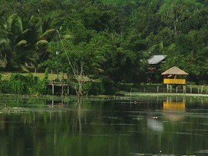natural places to visit in kerala