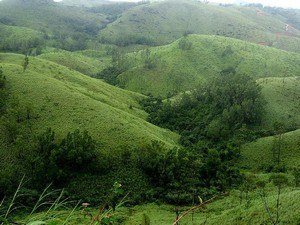 Vagamon, Near Idukki