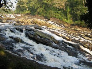 trivandrum tourist places waterfalls
