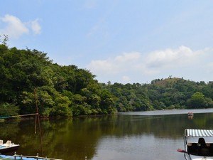 Pookote Lake