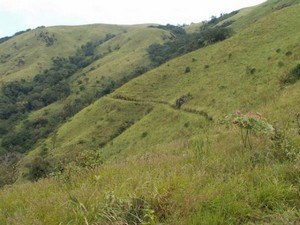 Pakshipathalam, Near Wayanad