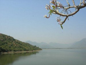 Kalvarayan Hills