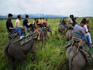 Elephant Safari In Western Range - Bagori