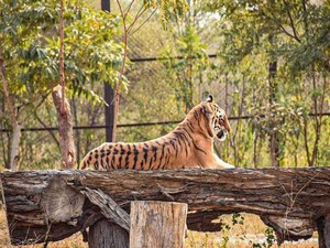Nahargarh Biological Park