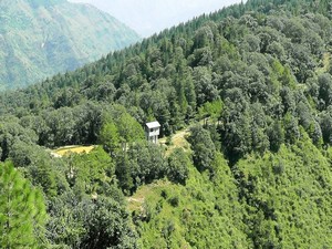 Chail Sanctuary