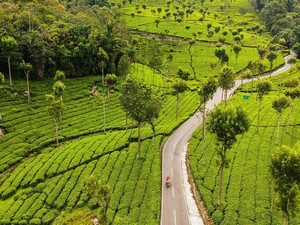 Kotagiri Tour Packages