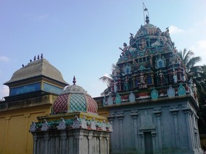 Sri Naganathaswamy Kethu Temple - Kezhaperumpallam