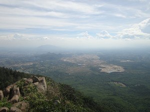 Lady's Seat
