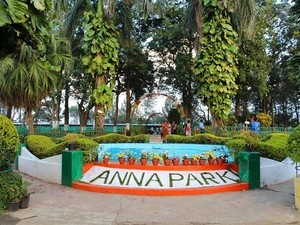 Anna Park