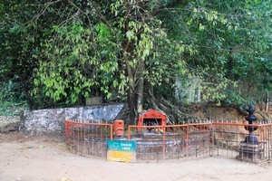 Chain Tree