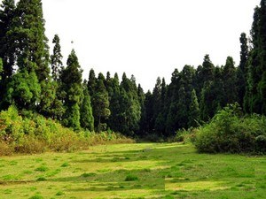 Silent Valley