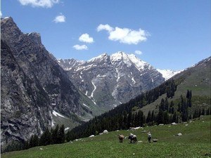 Manali Tourism