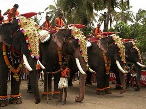 Paripally Gajamela Paripally Gajamela