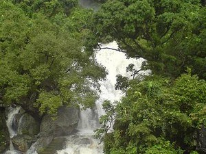 trivandrum tourist places waterfalls