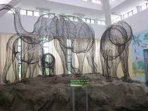 Regional Museum Of Natural History