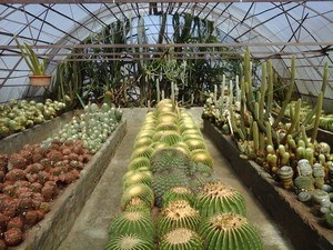 Pine View Nursery