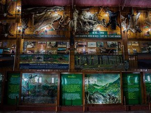 Nature Interpretation Centre / Forest Museum