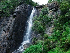 Lovers Leap Falls