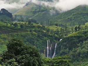 Nuwara Eliya Tour Packages