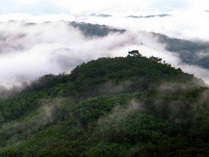 Pathanamthitta Tour Packages