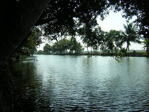 tourist places in kerala hill stations