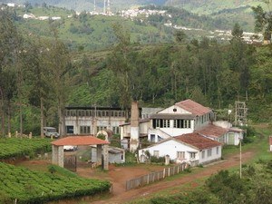 Tea Factory & Museum