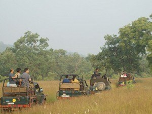 Kolsa Jeep Safari