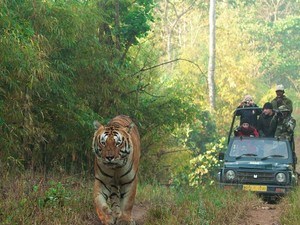 Kisli Jeep Safari