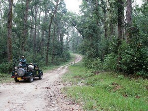 Sarhi Jeep Safari