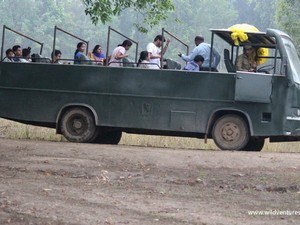 Kanha Canter Safari
