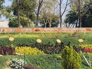Ekta Nursery & Handicrafts