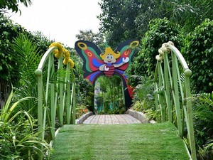 Butterfly Garden