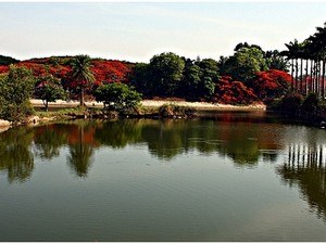 Lalbagh Botanical Gardens