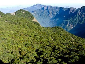 Vellari Mala