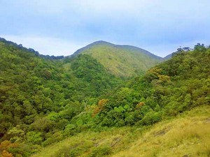 Dhoni Hills