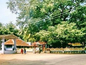 Chittur Kavu Devi Temple