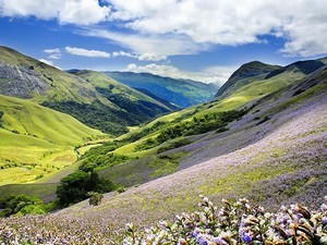 Anamudi Peak