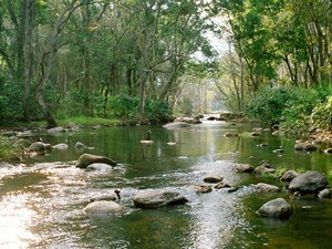 Chinnar Wildlife Sanctuary