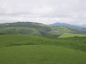 Pullumedu